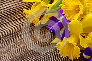 Easter daffodils and irise
