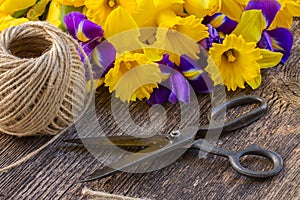 Easter daffodils and irise