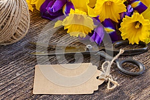 Easter daffodils and irise