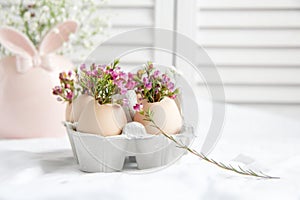 Easter decor - Flowers in eggshells photo