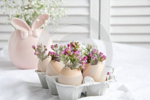 Easter decor - Flowers in eggshells
