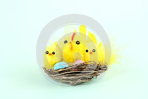 easter decoration: baby chicken roost