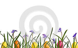 Easter decoration. Beautiful blue flowers Scilla siberica, grass and colored easter eggs on a white background with space for text