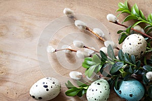 Easter decoration with easter eggs, catkins and boxwood twigs on wooden background