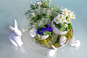 Easter decoration for the garden table, Easter bunny, bunnies, spring flowers, white primroses, blue pansies, daisies, Easter eggs