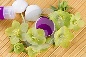 Easter decoration with hellebore and egg shells and magenta tempera paint