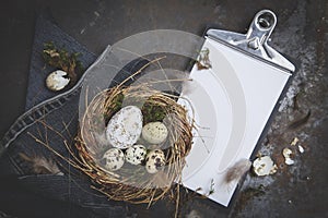 Easter decoration with nest and egg on dark background