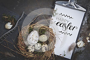 Easter decoration with nest and egg on dark background
