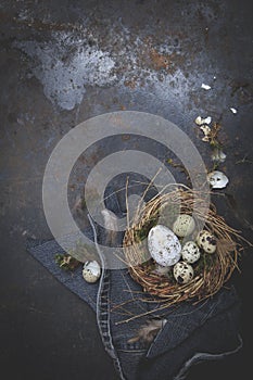 Easter decoration with nest and egg on dark background