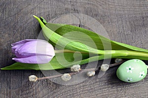 Easter decoration with painted egg,tulip and spring willow branch on old wooden background.