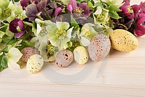 Easter decoration pastel color with spring flower of Lenten roses