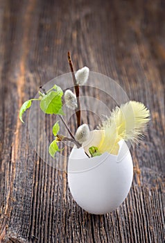 Easter decoration in a white egg shell