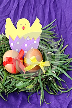 Easter decoration: yellow eggs and hand made hatched chicken in eggshell in green grass twigs nest on purple background