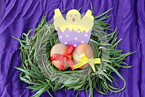 Easter decoration: yellow eggs and hand made hatched chicken in eggshell in green grass twigs nest on purple background