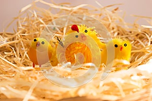 Easter decorations - chickens and hen in brood