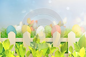 Easter decorations with eggs on a fresh green field