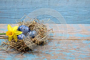 Easter decorations. Eggs in nests on wood