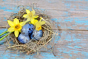 Easter decorations. Eggs in nests on wood