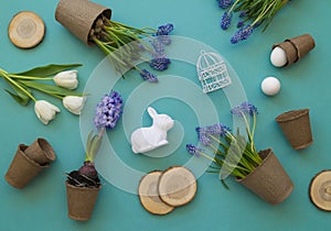 Easter decorative composition on a blue background. White tulips, flower pots, unpainted eggs and a tree.