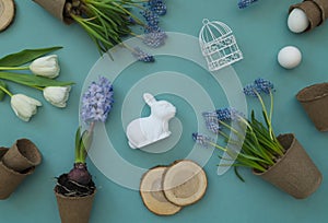 Easter decorative composition on a blue background. White tulips, flower pots, unpainted eggs and a tree.