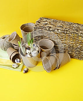 Easter decorative composition on a yellow background.Nest with quail eggs.