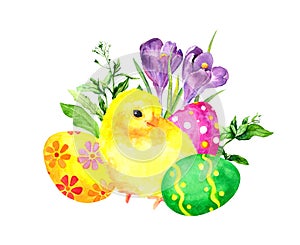 Easter design - adorable little chick, baby chicken bird, colored eggs, grass, spring flowers. Watercolor illustration