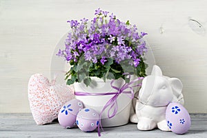Easter design with easter eggs and a pot of flowers on a white wooden background