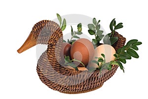 Easter duck with eggs on white background