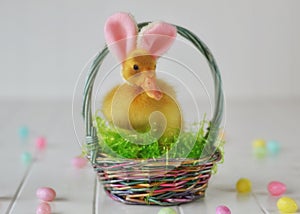 The Easter Ducky
