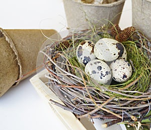Easter. Easter composition with the nest and eggs. Potted plants, tools, linen towel, gloves.