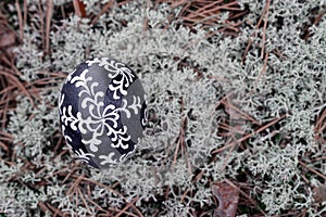 Easter egg on a background of lichens