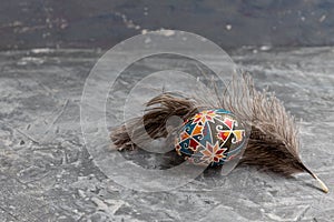 Easter Egg  with bird feather Card