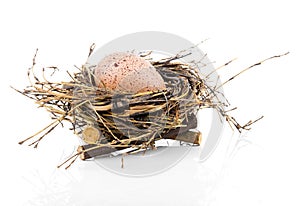 Easter egg in birds nest