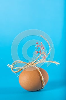 Easter egg on a blue background