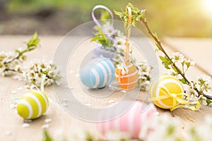 A Easter egg on a branch of a blooming cherry tree. Easter spring background