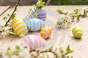 A Easter egg on a branch of a blooming cherry tree. Easter spring background