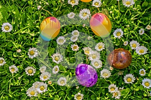 Easter Egg . colored eggs in a spring meadow with daisies.religious holiday.Easter food.Easter holiday tradition.