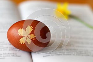 Easter egg  colored with onion and decorated with leaf pattern