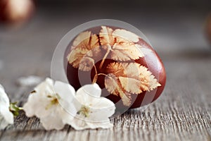 Easter egg dyed with onion skins, with a leaf pattern