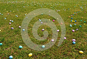 Easter Egg Field photo