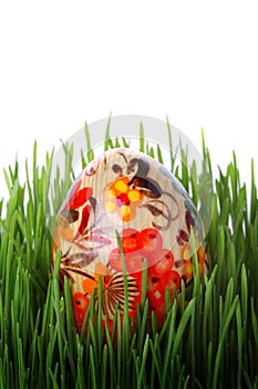 Easter egg in grass