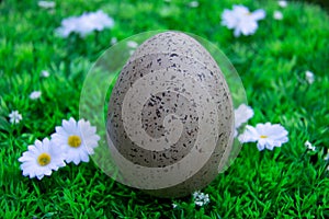 Easter egg and green grass with white flowers