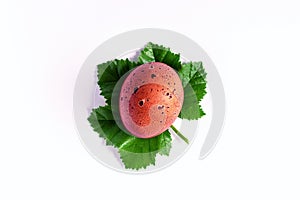 Easter egg in a green leaf nest. Easter concept.