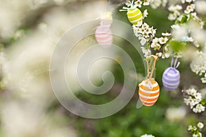 A Easter egg is hanging on a branch of a blooming cherry tree. Easter spring background