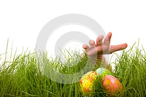 Easter egg hunt