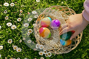 Easter Egg Hunt.child collects colored eggs in a spring meadow with daisies.Easter holiday tradition.Spring religious