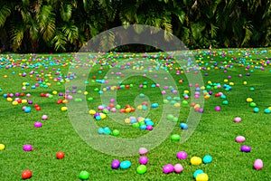 An Easter egg hunt with plastic eggs on a green lawn photo