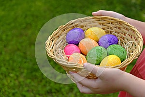 Easter Egg Hunt. Easter eggs set in a basket in children's hands on green grass background. Collecting eggs. Religious