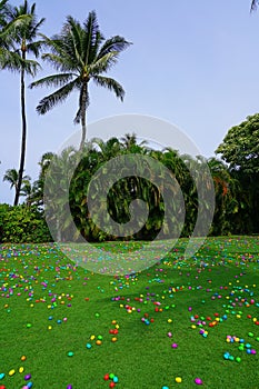 An Easter egg hunt with plastic eggs on a green lawn