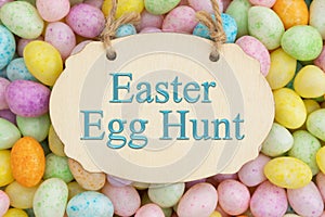 Easter Egg Hunt sign with candy eggs
